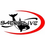 SAEKODIVE